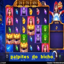 palpites do bicho no celular