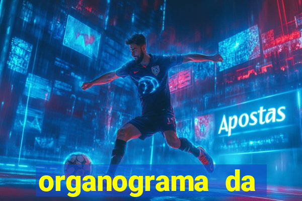 organograma da cacau show