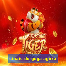 sinais do guga agora