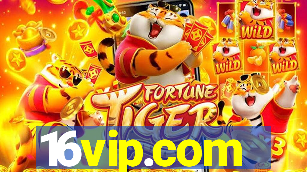 16vip.com