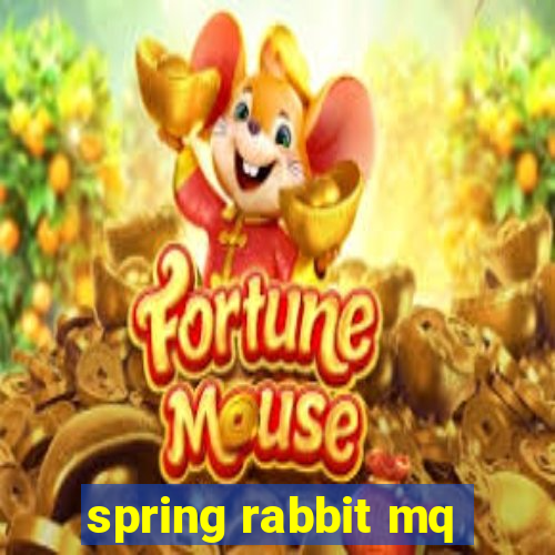 spring rabbit mq