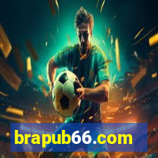 brapub66.com