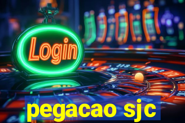 pegacao sjc