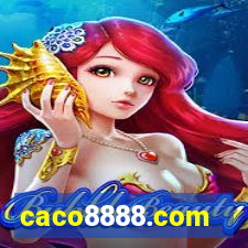 caco8888.com