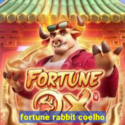 fortune rabbit coelho