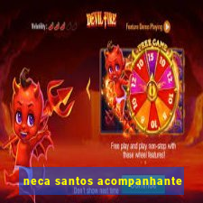 neca santos acompanhante