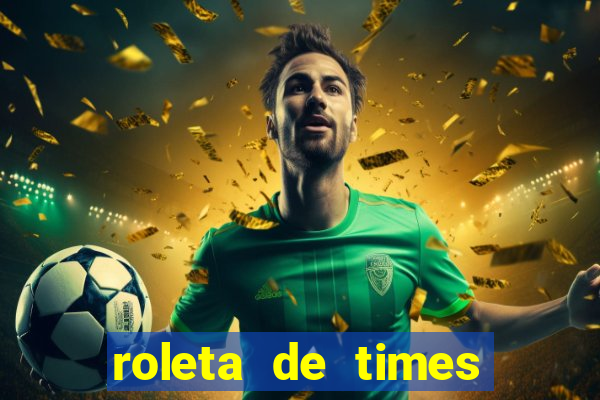 roleta de times brasileiros serie a 2024