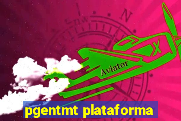 pgentmt plataforma